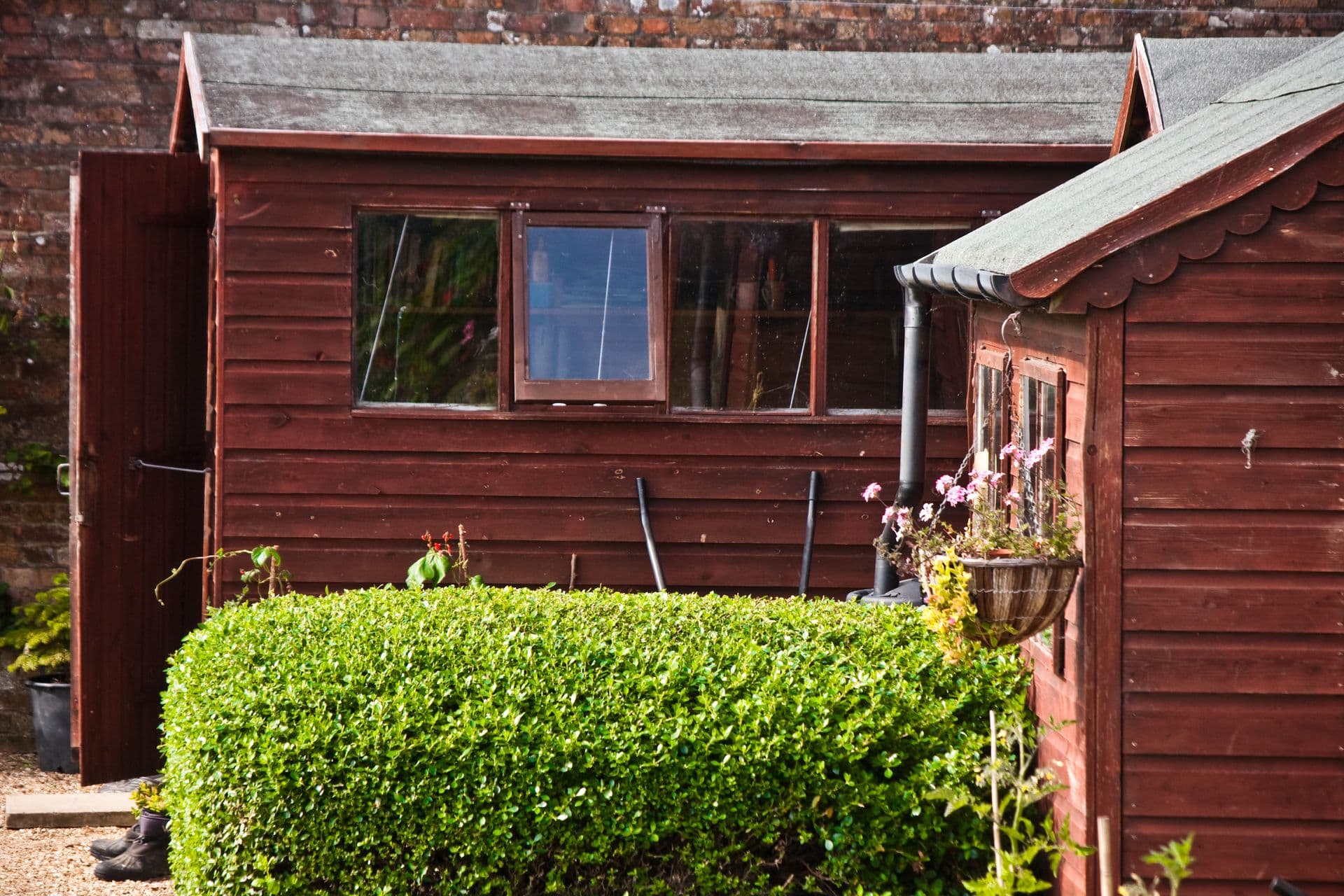 A tidy timber garden shed set in a green garden